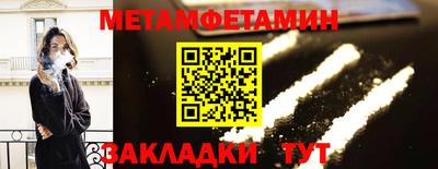 прущие грибы Обнинск