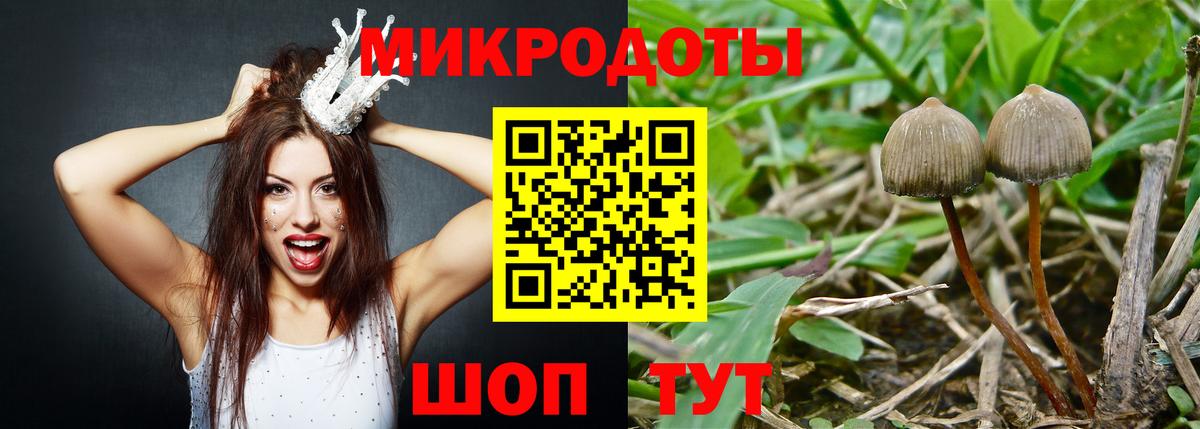 Тула  Псилоцибиновые грибы Magic Shrooms  Псилоцибиновые грибы мухоморы  Вход с VPN 